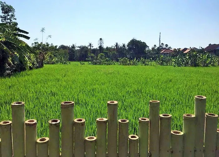 Hostal Bali Green Seminyak