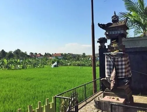 Bali Green * Seminyak